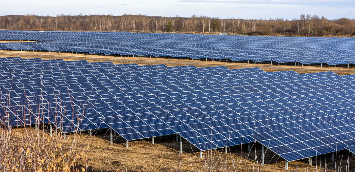 Rows of solar panels